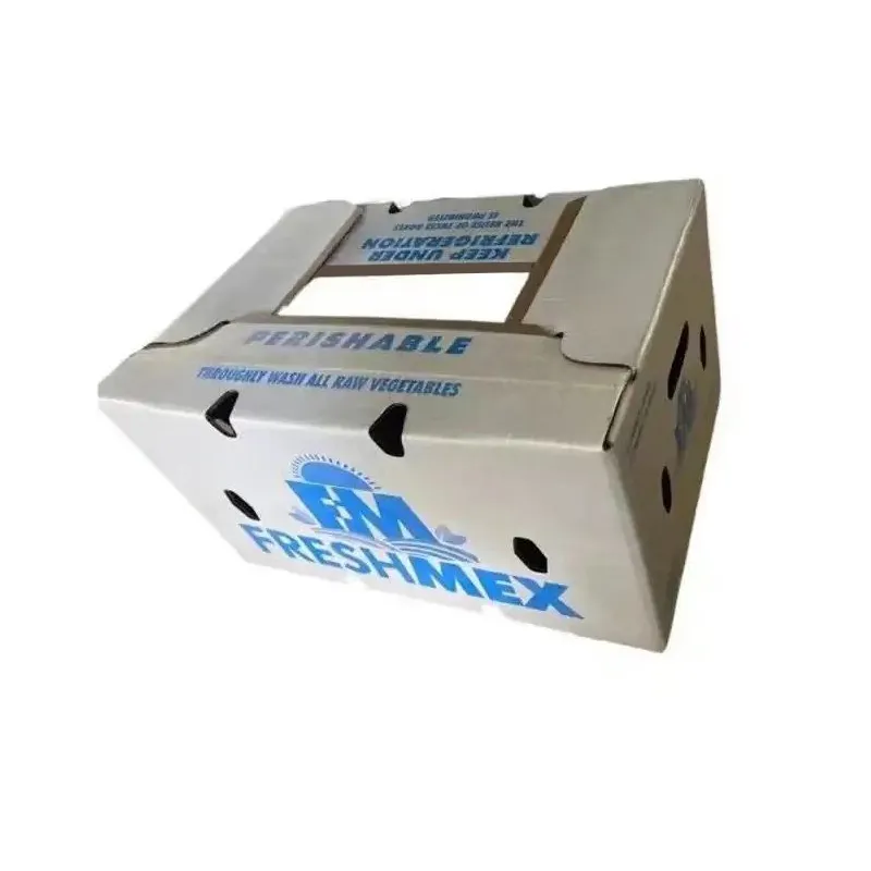 లోగో ప్రింటెడ్ వాక్స్ ముడతలు పెట్టిన బాక్స్